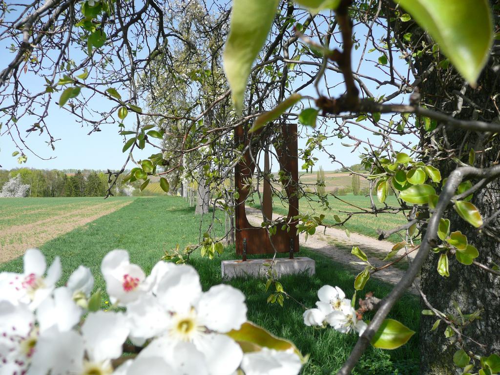 Ferienwohnungen Haus Sauer Offenheim エクステリア 写真